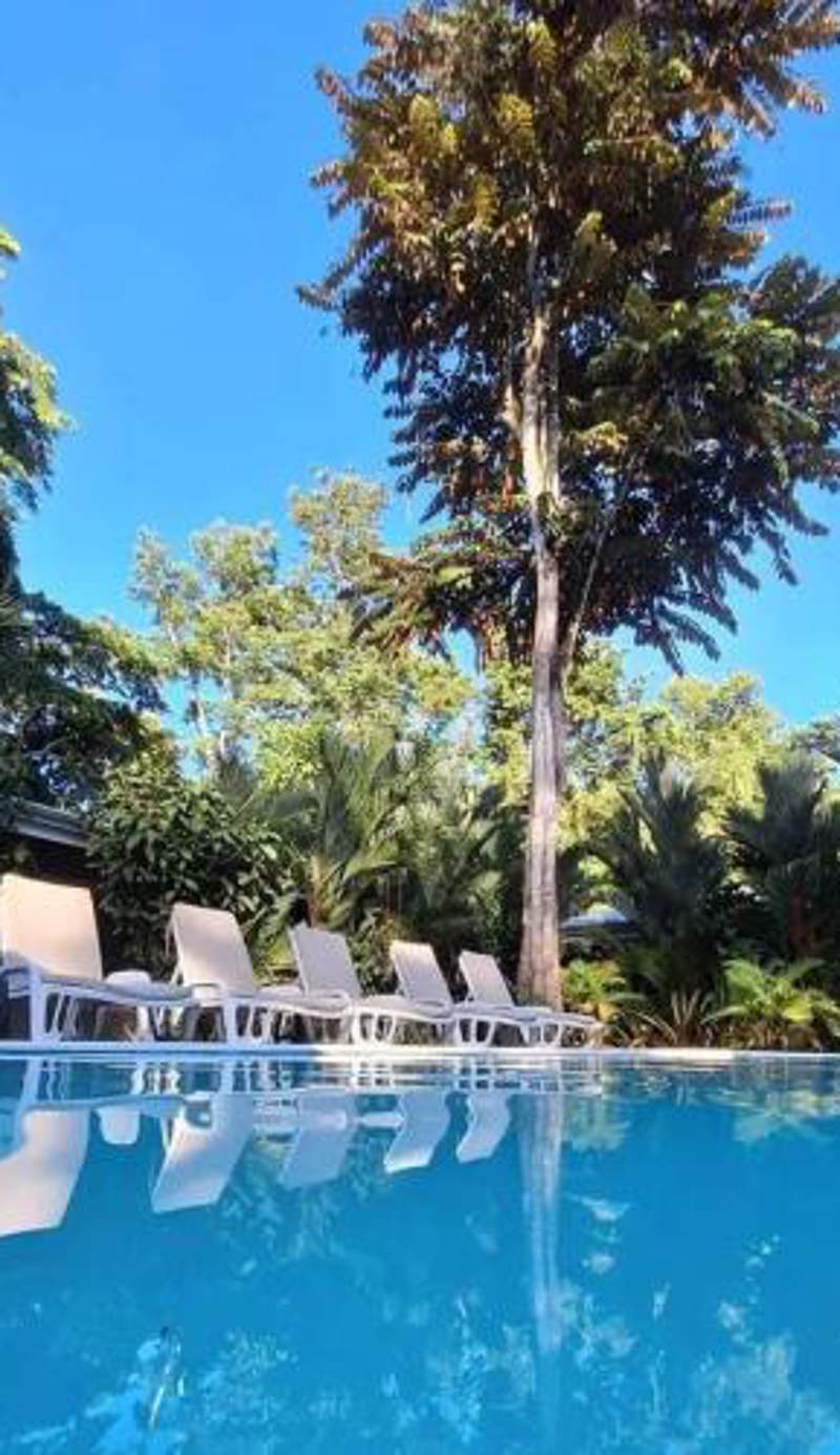 Alloro Jungle Villas