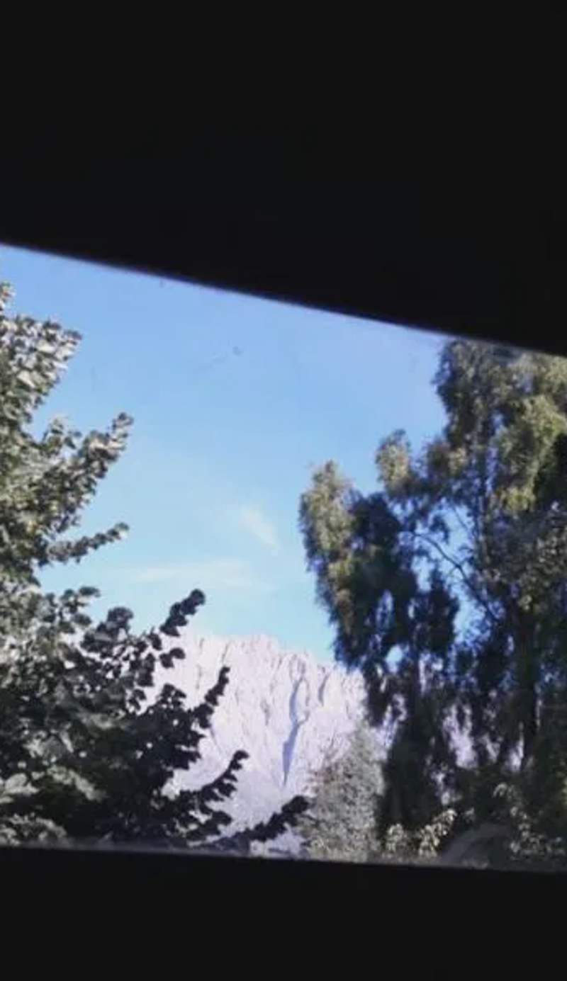 Los Pinos