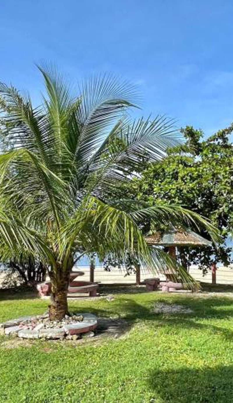D's Oceanview Beach Resort