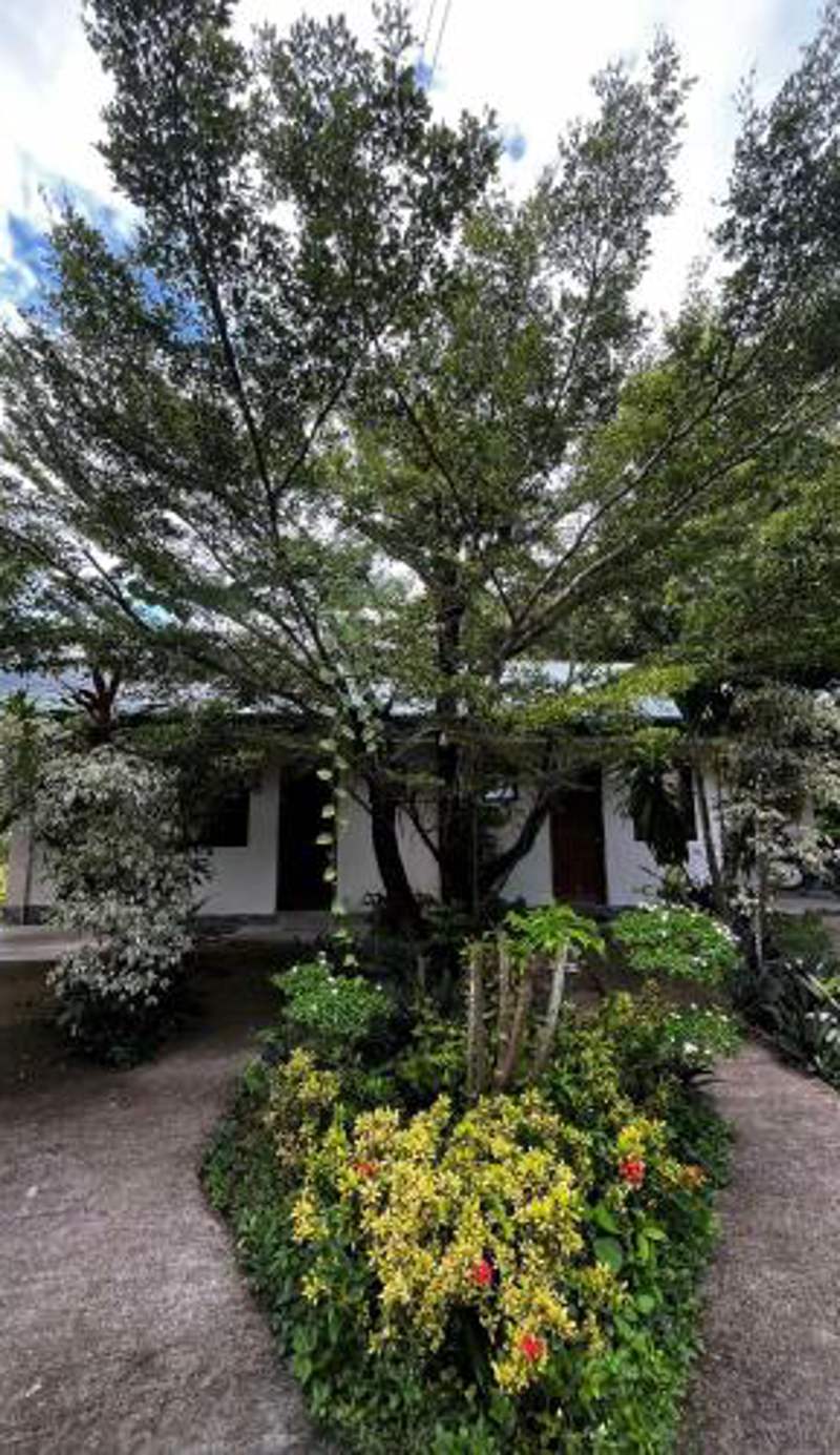 Gal's Guesthouse