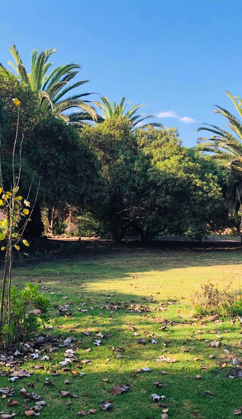 Eco lodge El Arbol