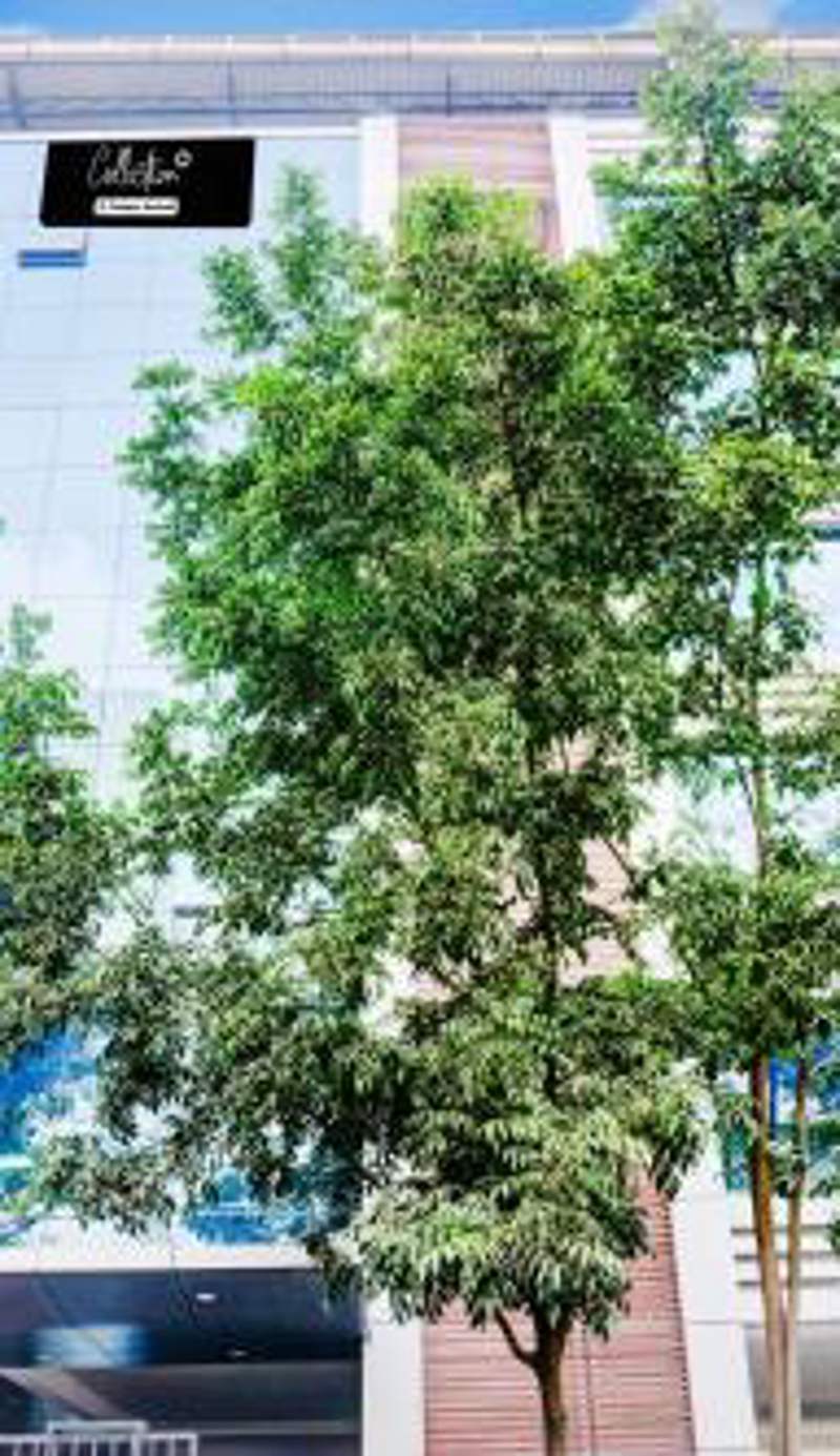 Super Collection O Pashan-Sus Road Baner Formerly Grey Stone