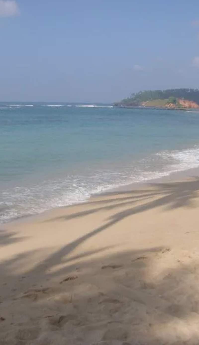SunRay Rest - Beach View Homestay
