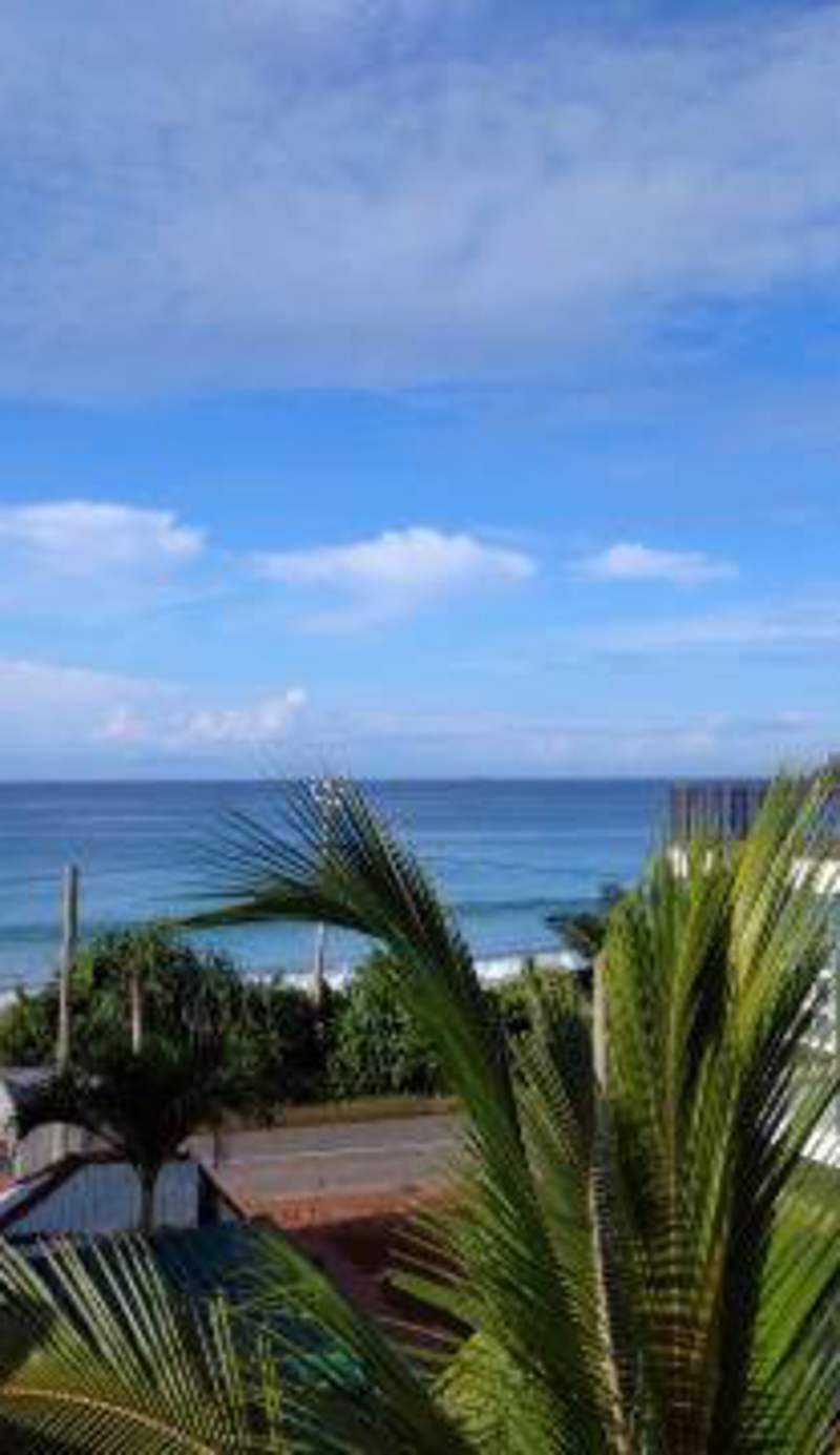 sunocean inn
