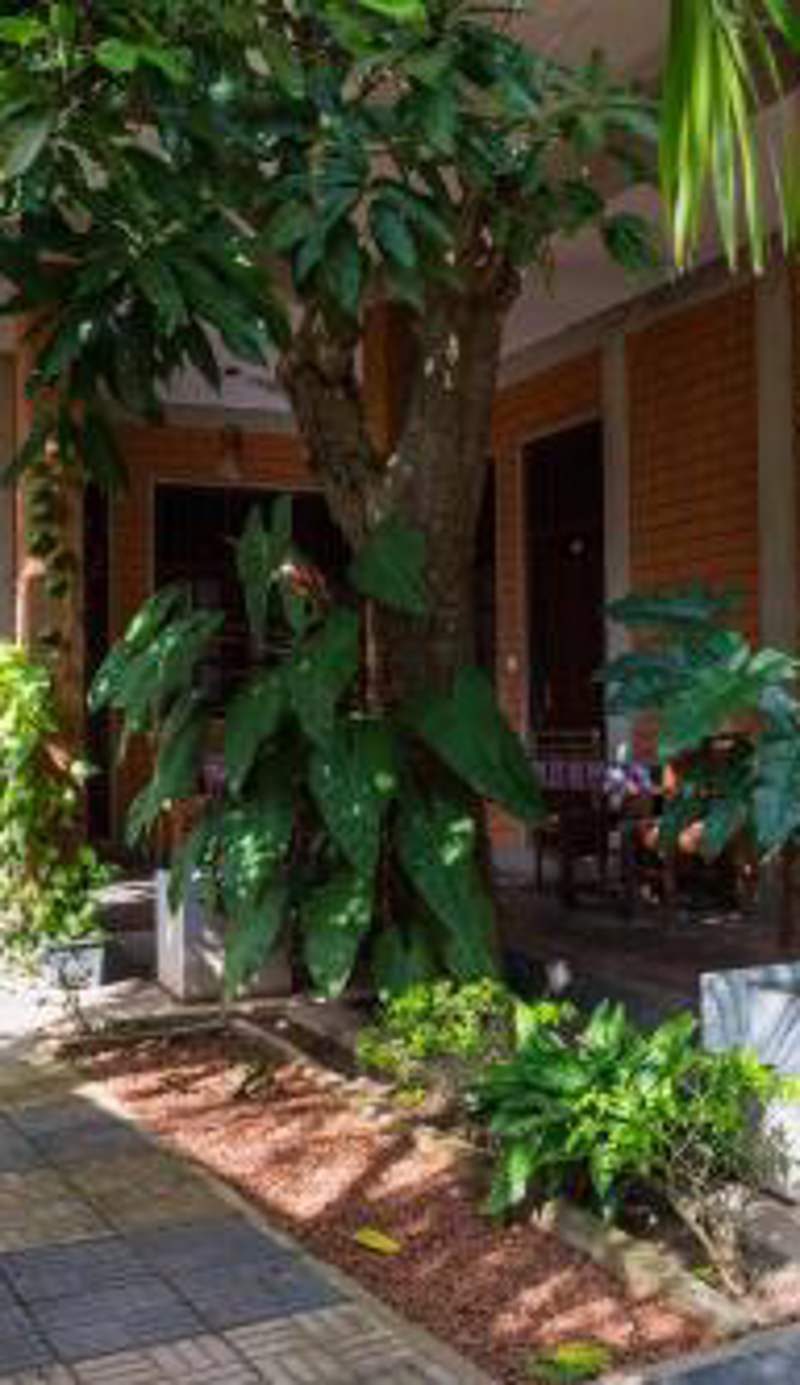 Eco Square Resort