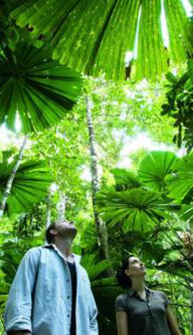 Cairns Holiday Park