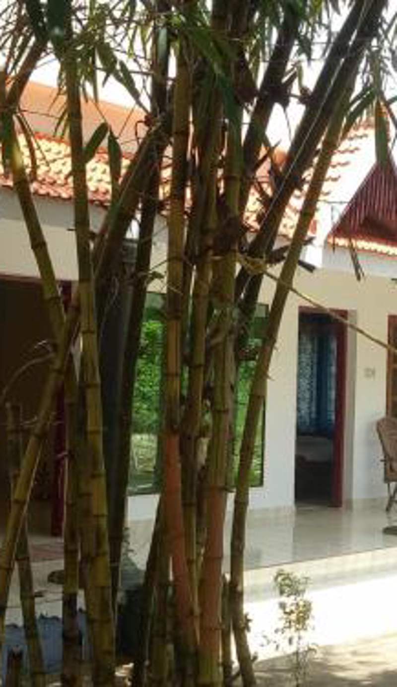 Green Garden Ayurvedic Resort & Green House
