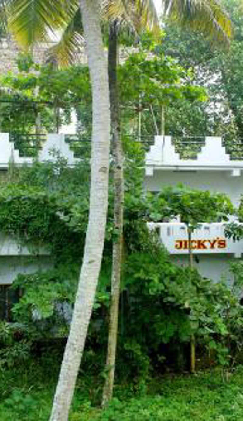 Jickys Nest