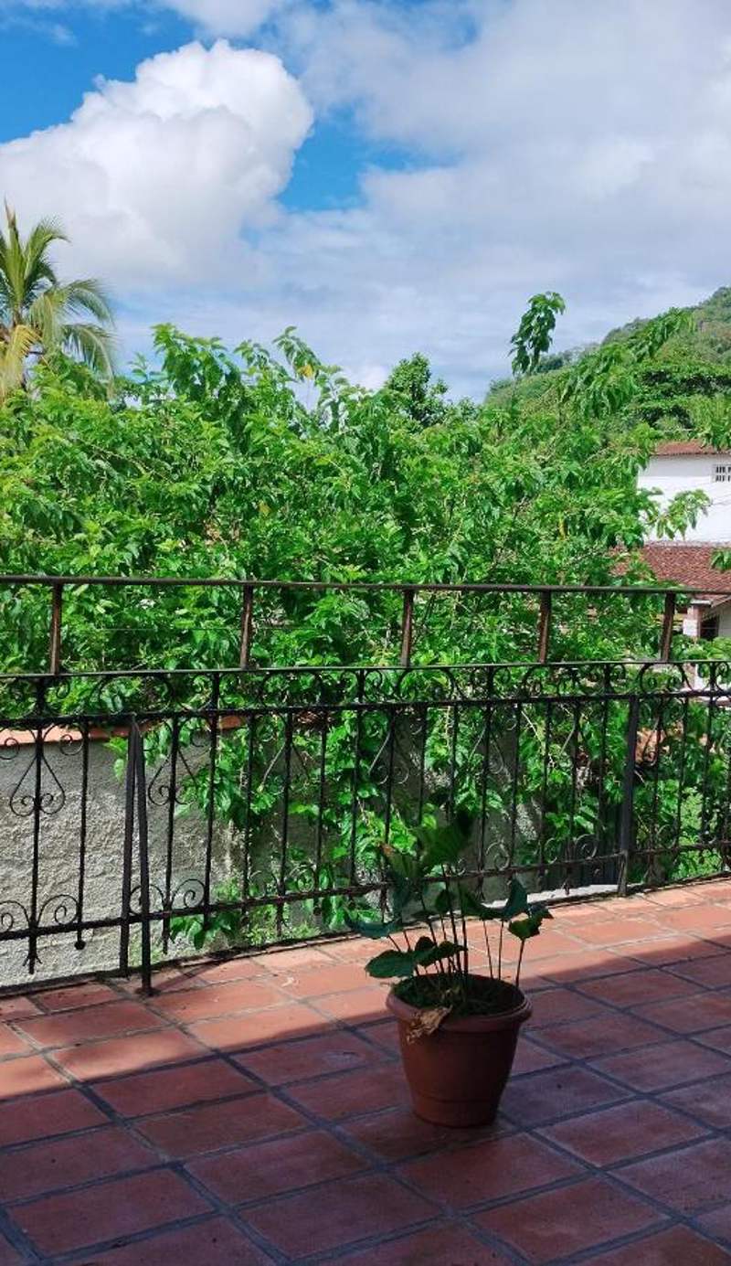 Hostel Terra das Tribos