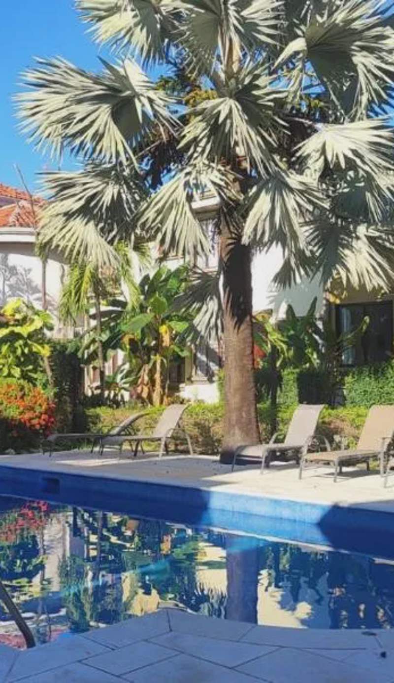 Casa Sueno Colibri