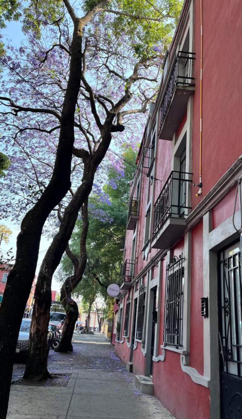 Casa Mary