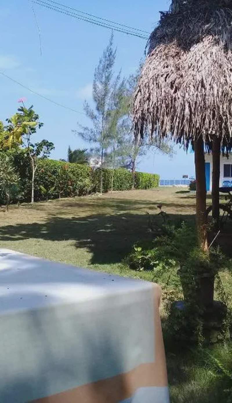 Portón Azul