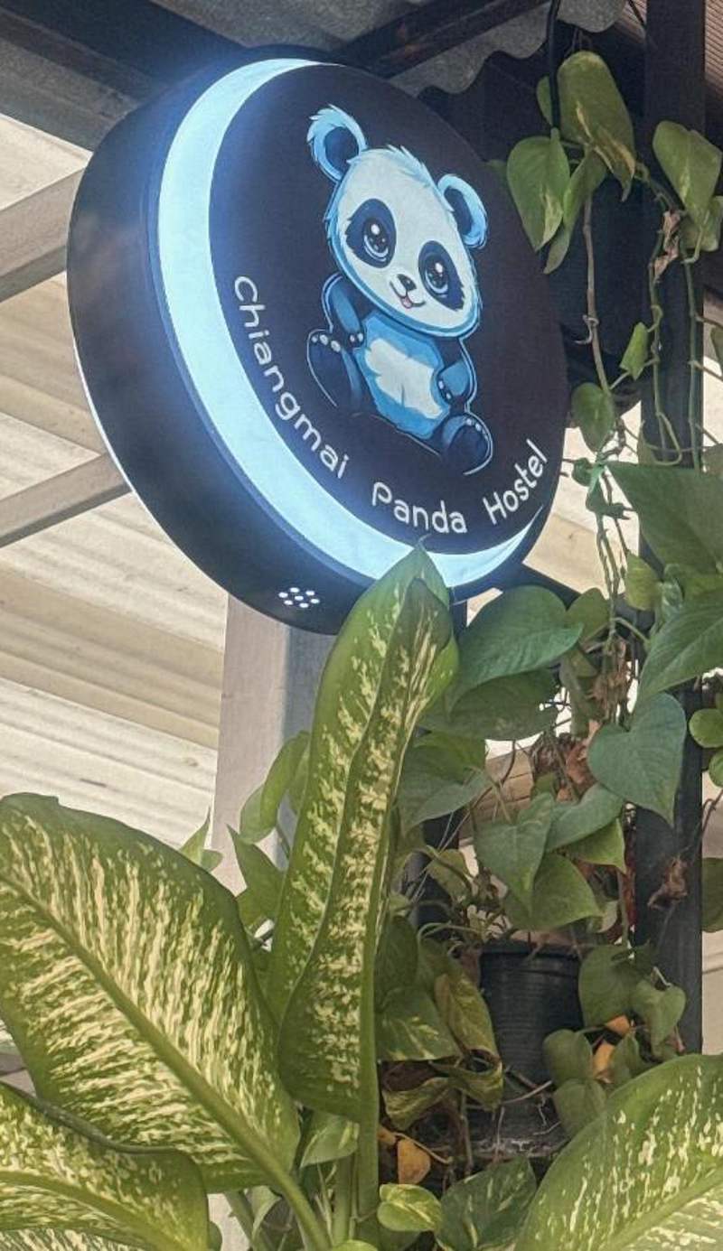 Chiang Mai Panda Hostel