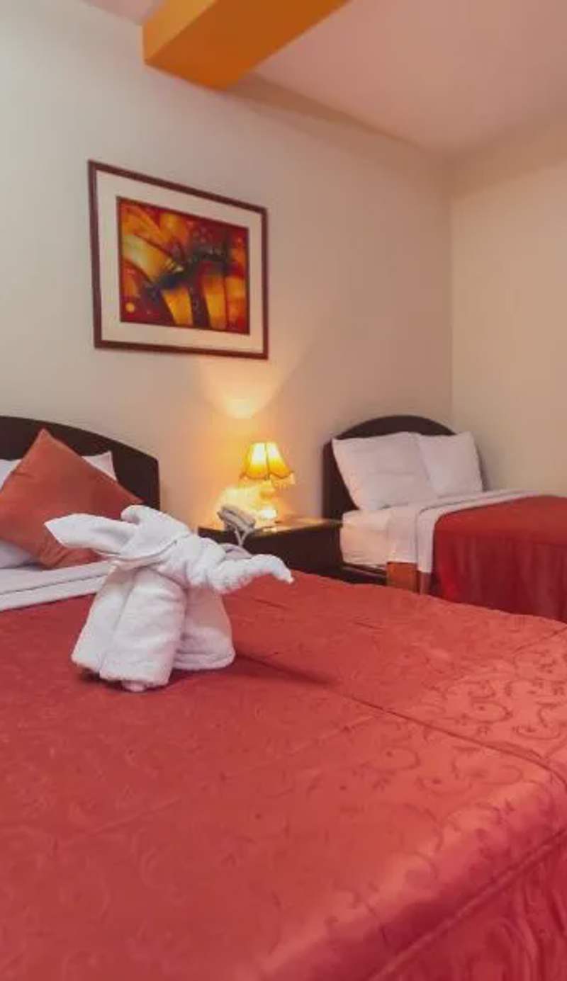 Hotel Plaza Bolognesi 344