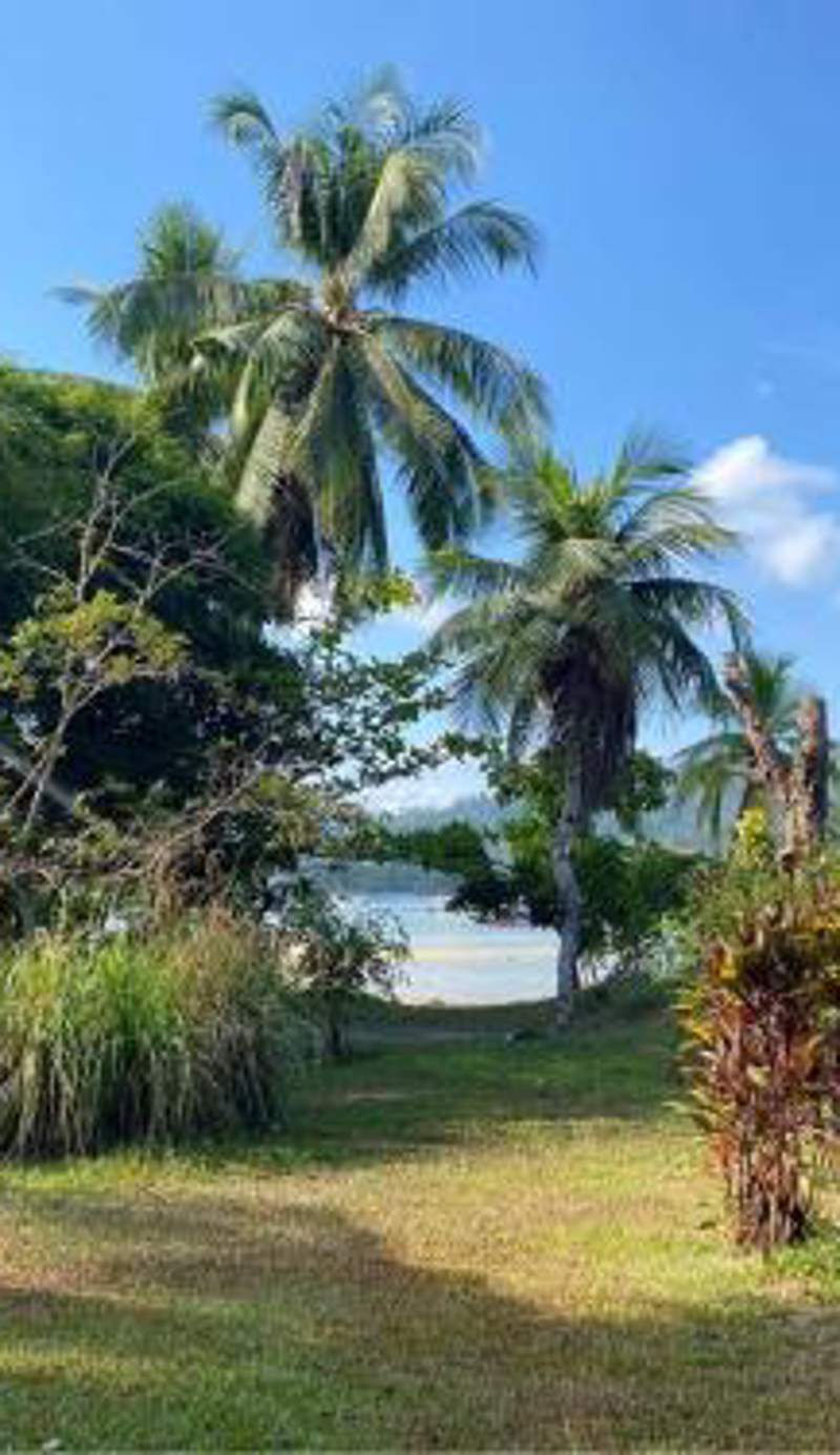 Port Barton - Paradiso Azul Campsite Beachfront with Internet