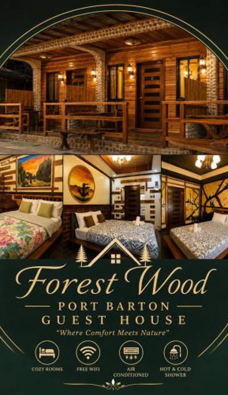 Forest wood-Port Barton