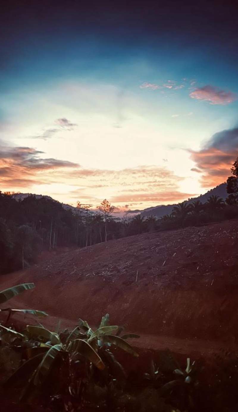 Khao Sok Evergreen House