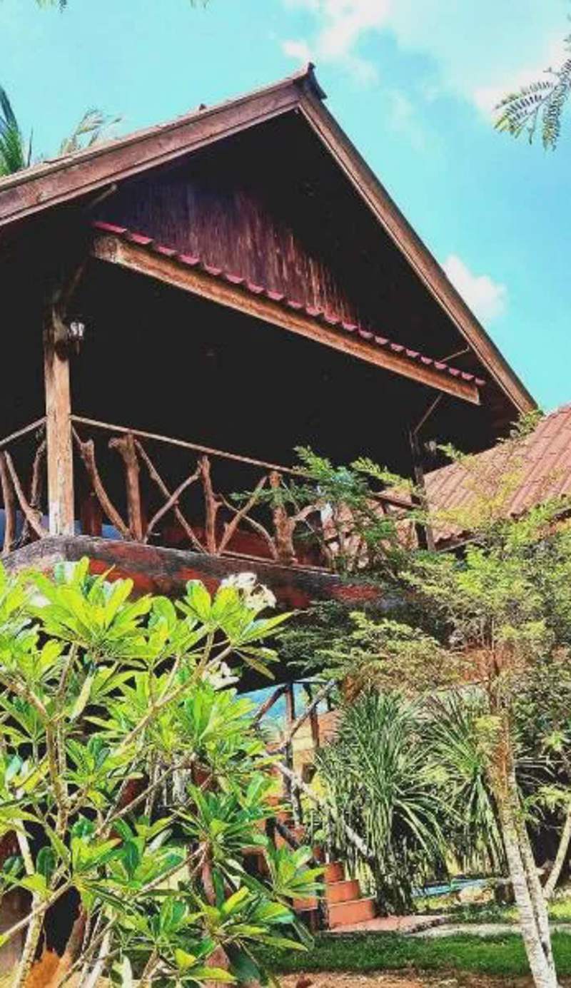 Bamboo House
