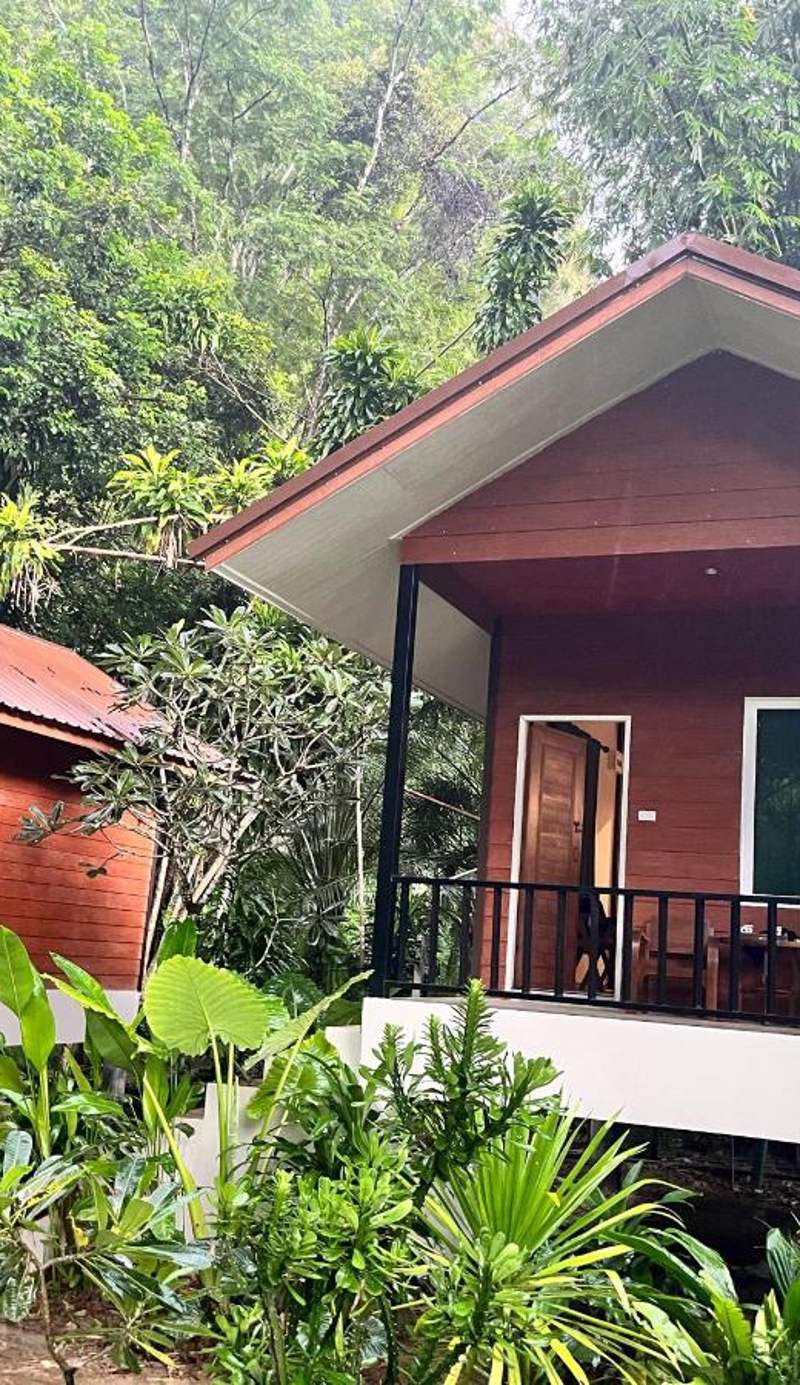 Khao Sok Green Mountain View