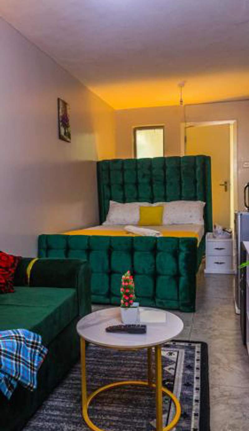 DefiniteHomes2 - Fully furnished studio apartment with a rooftop restaurant near JKIA Airport, SGR Terminus, Downtown Nairobi