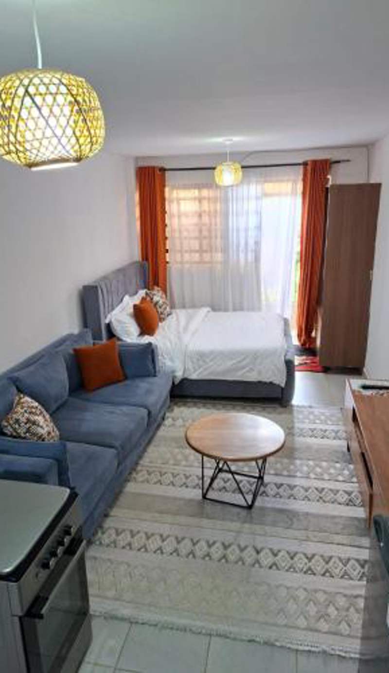 Affordable Studio Apartment Kasarani, Seasons Road