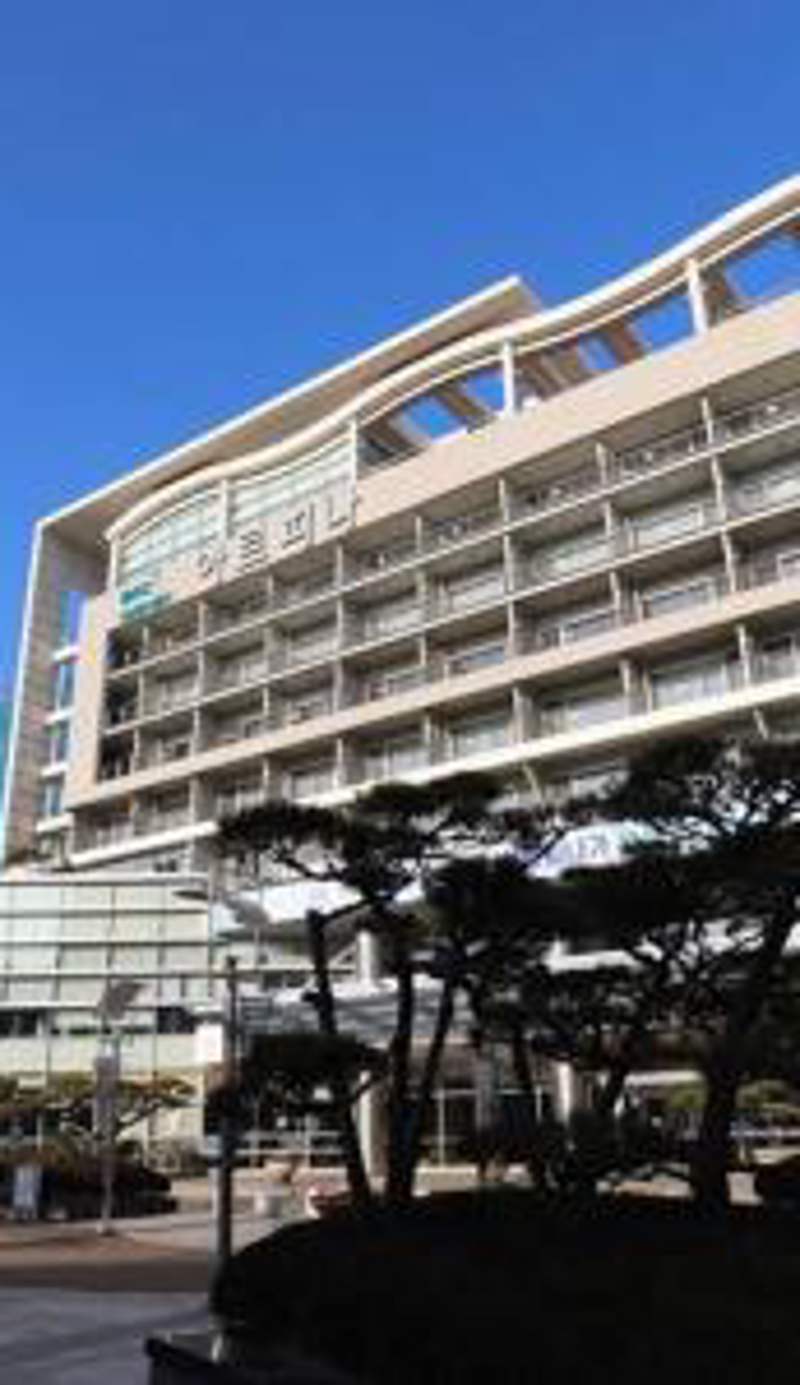 Busan Metropolitan City Corporation's Arpina