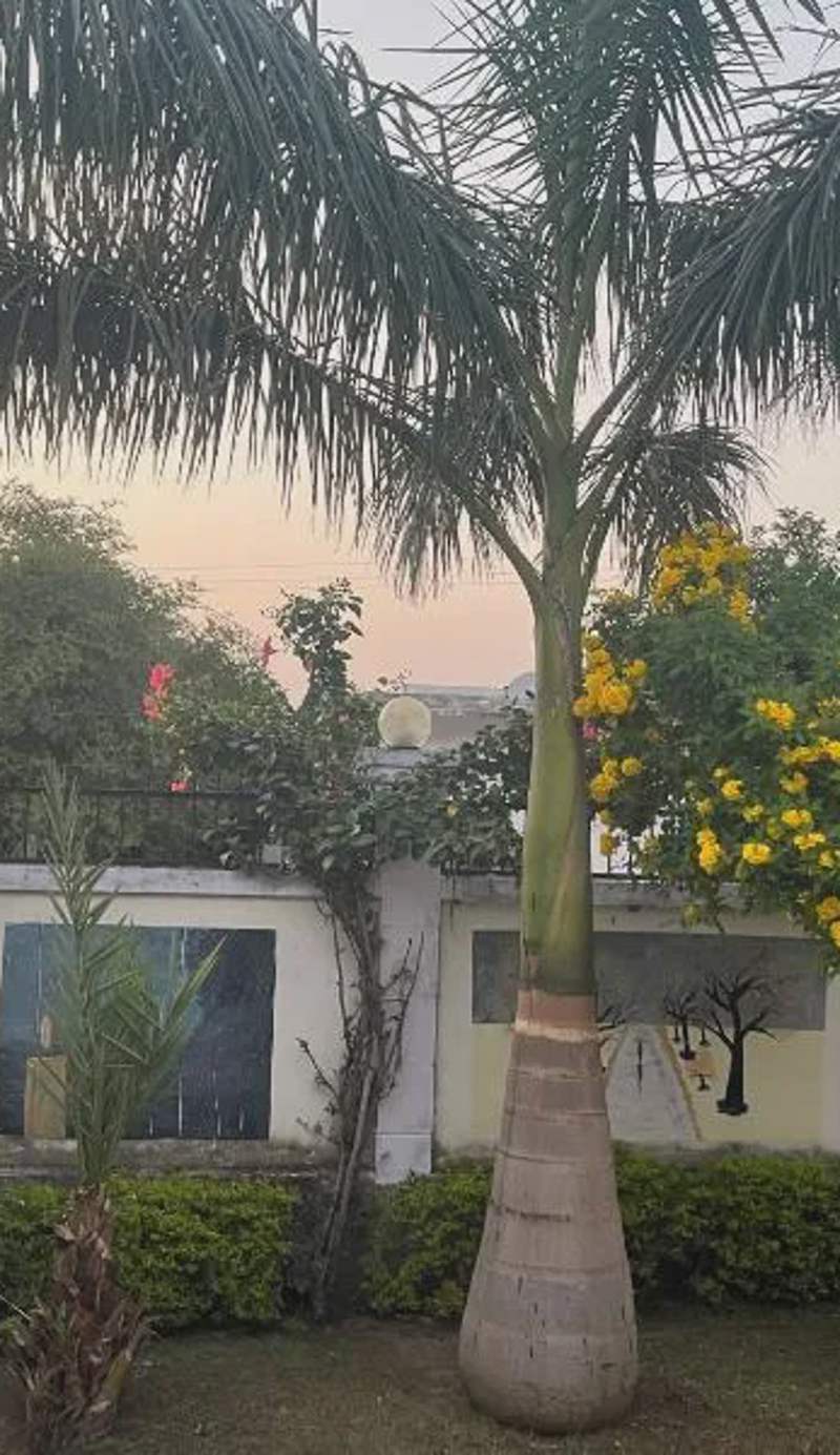 Sunrise Bed & Breakfast