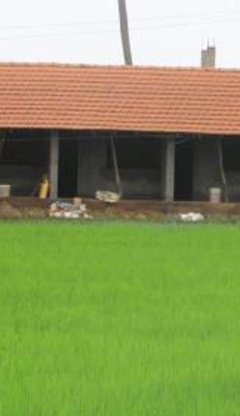 Ocean Sparrow Home Stay