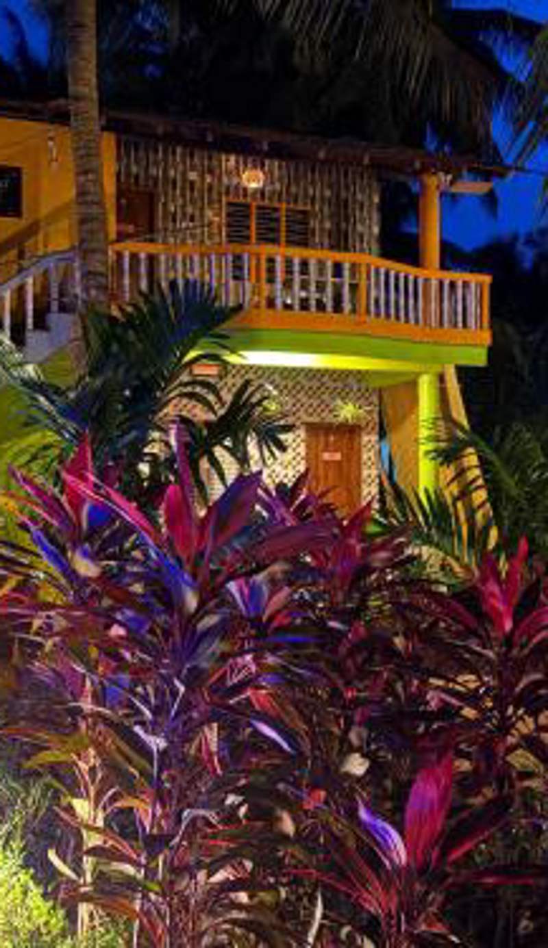 Areca Nest
