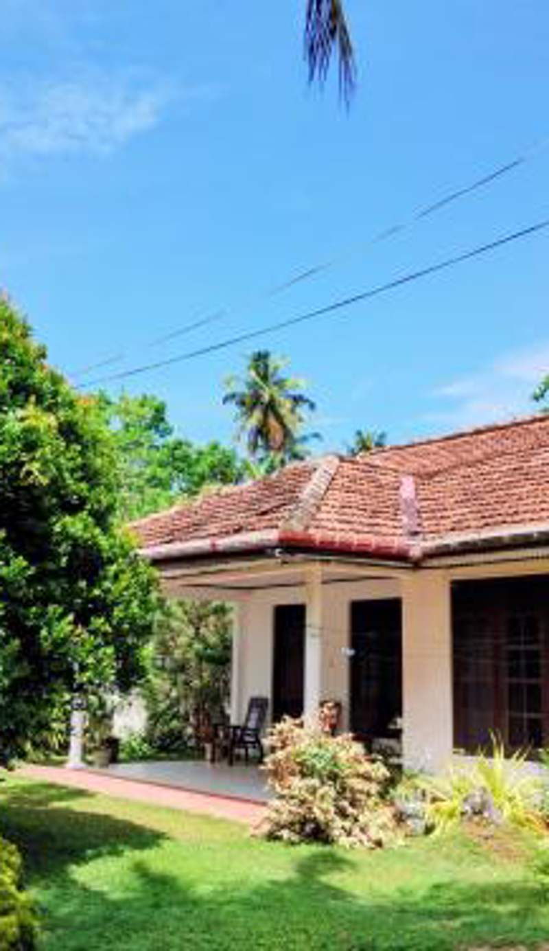 Oshi villa