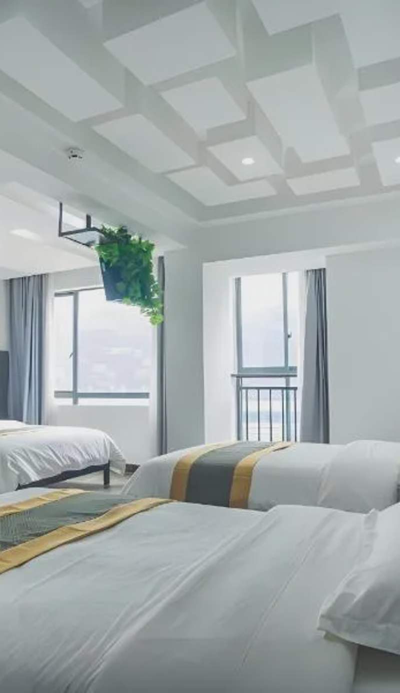 Zhangjiajie Cat Theme Inn