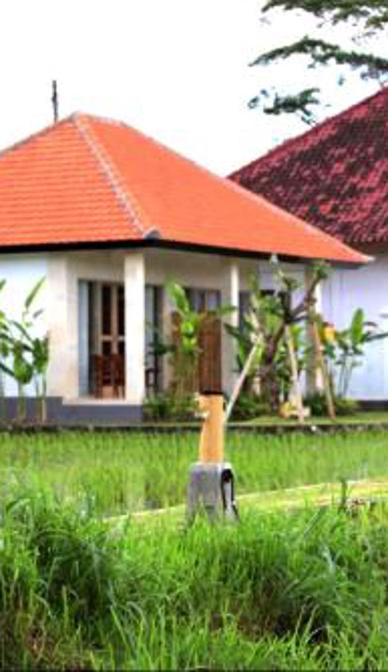 Padi guest house