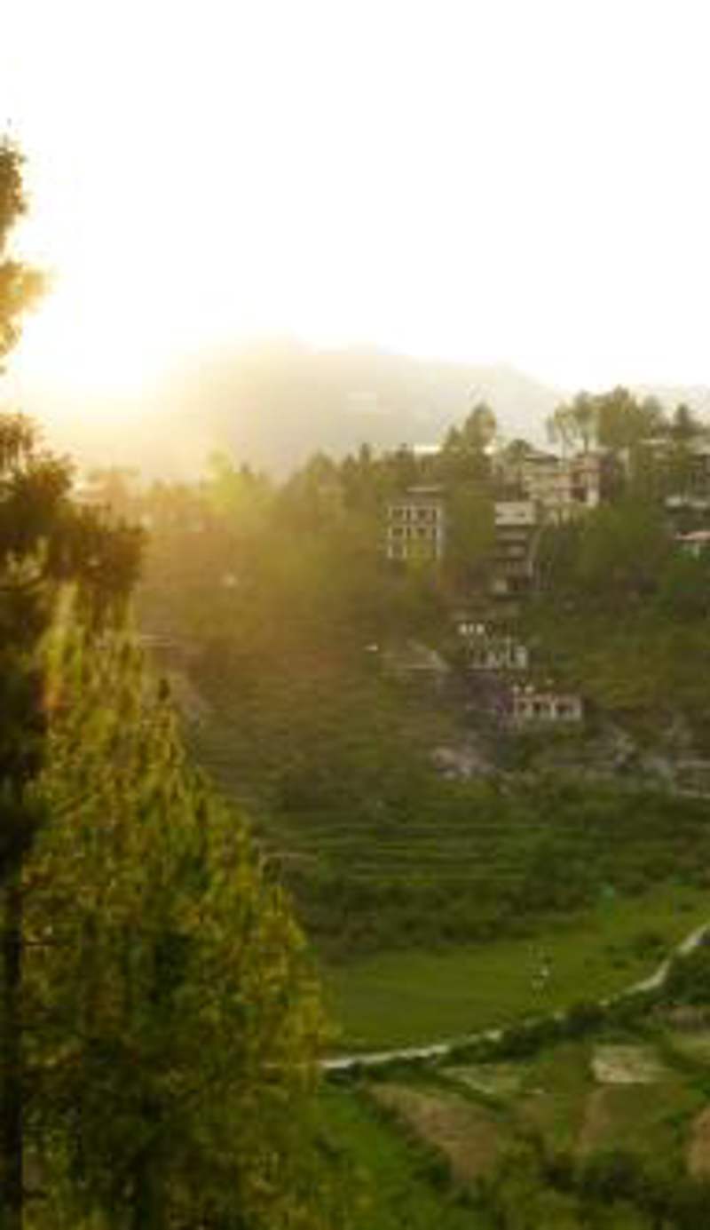 Orko Hilltop Resort - Mussoorie - Premium Rooms & Camps