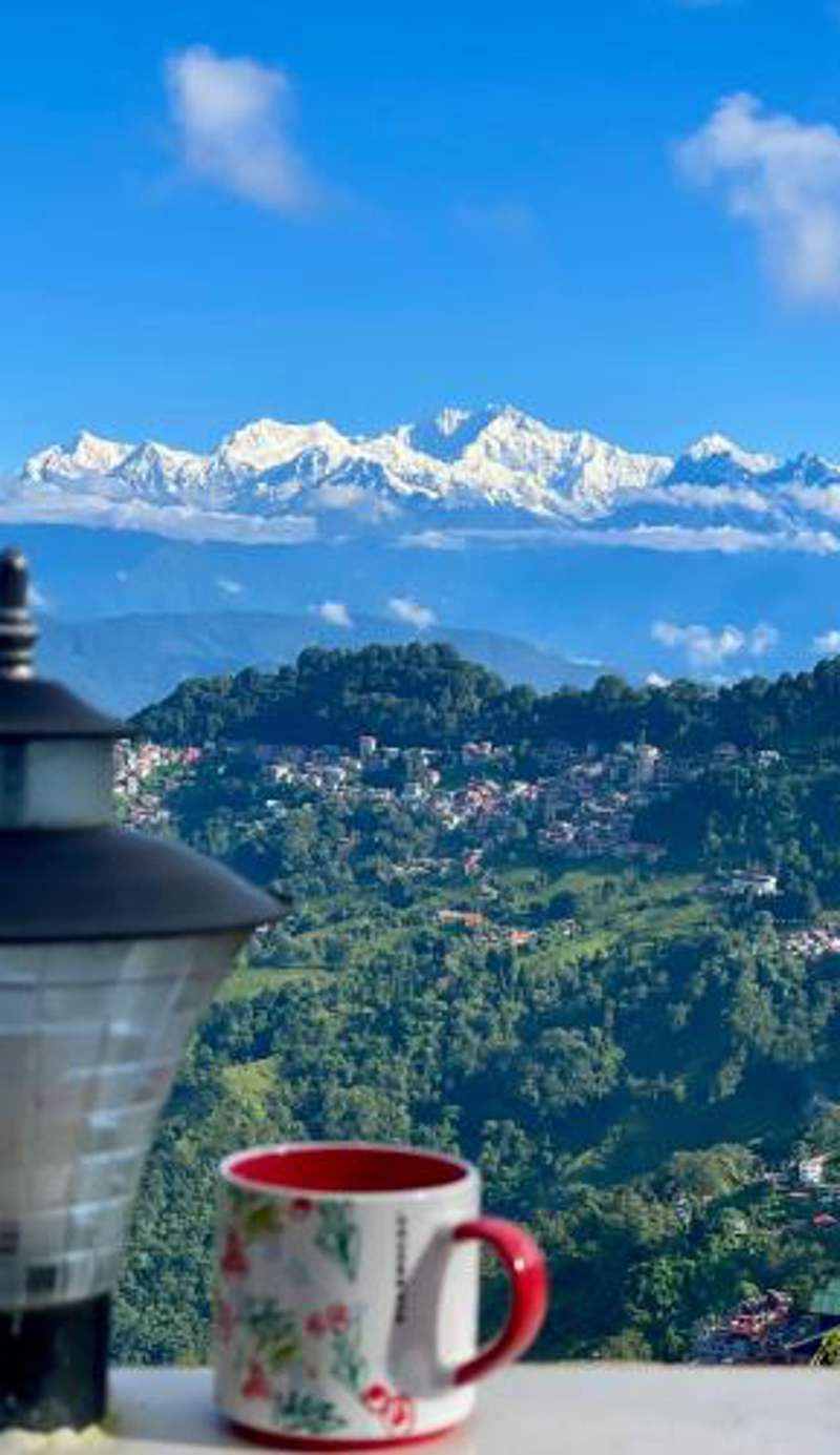 Mountain View homestay