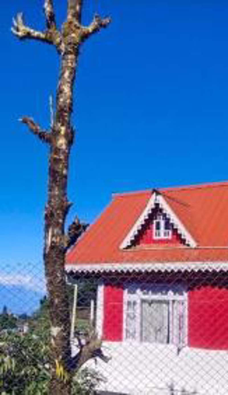 ZORBA HOMESTAY DARJEELING