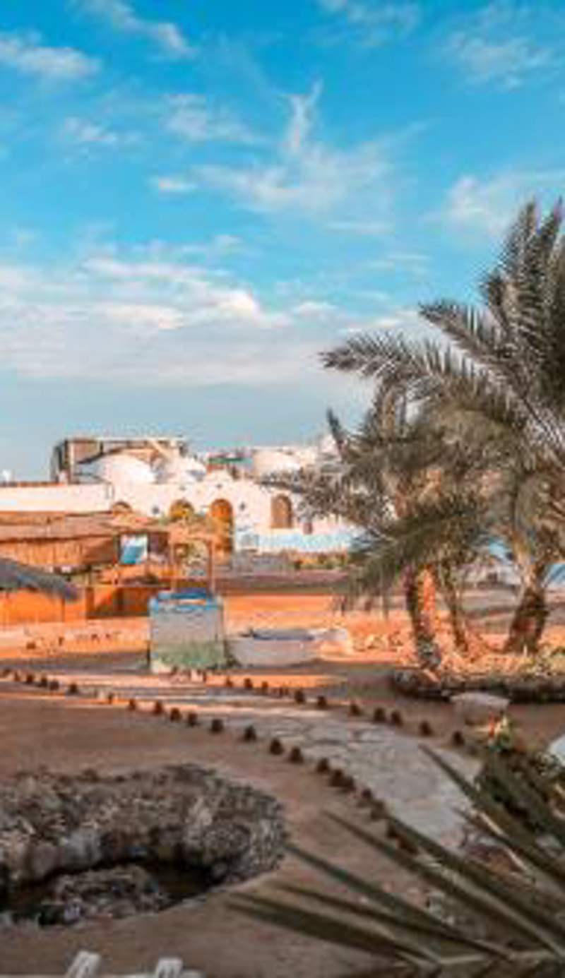 Dolphin Camp