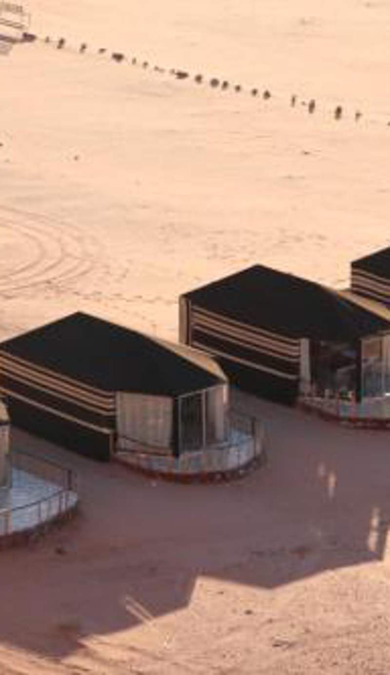 Desert Tree camp&tours