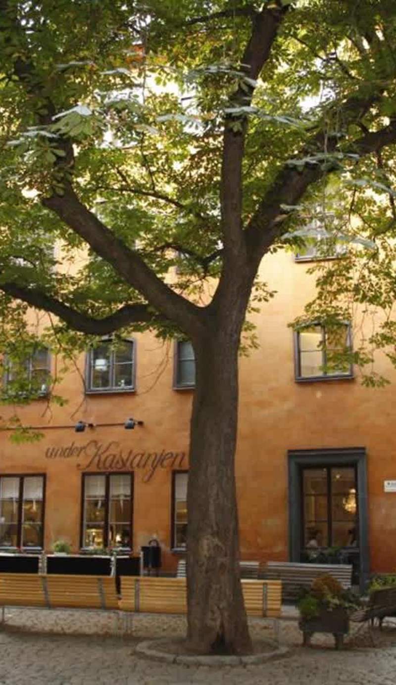 Castanea Old Town Hostel