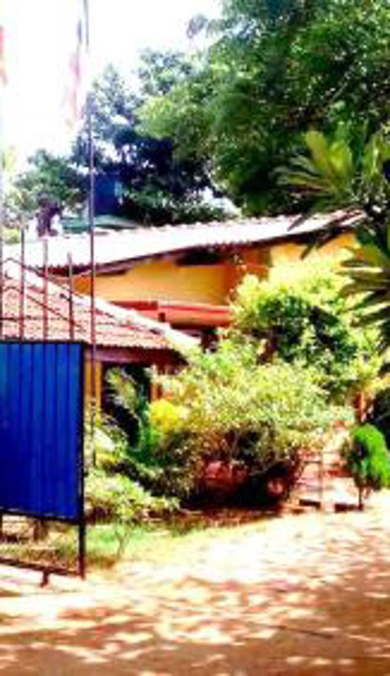 Amila Guest