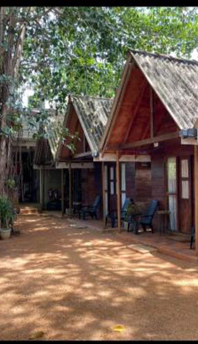 Cool Banyan Cabana