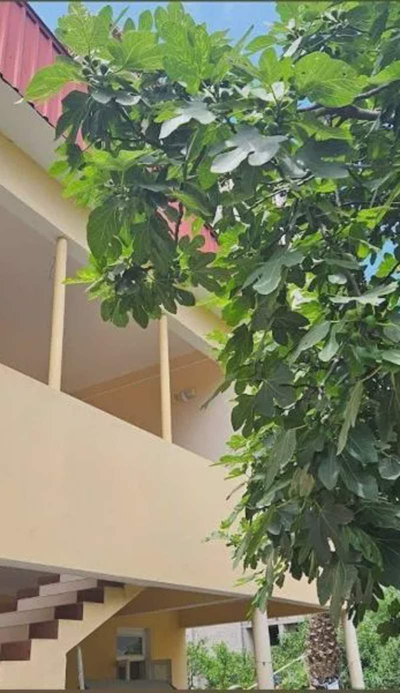 Guest House on Zgvis piris