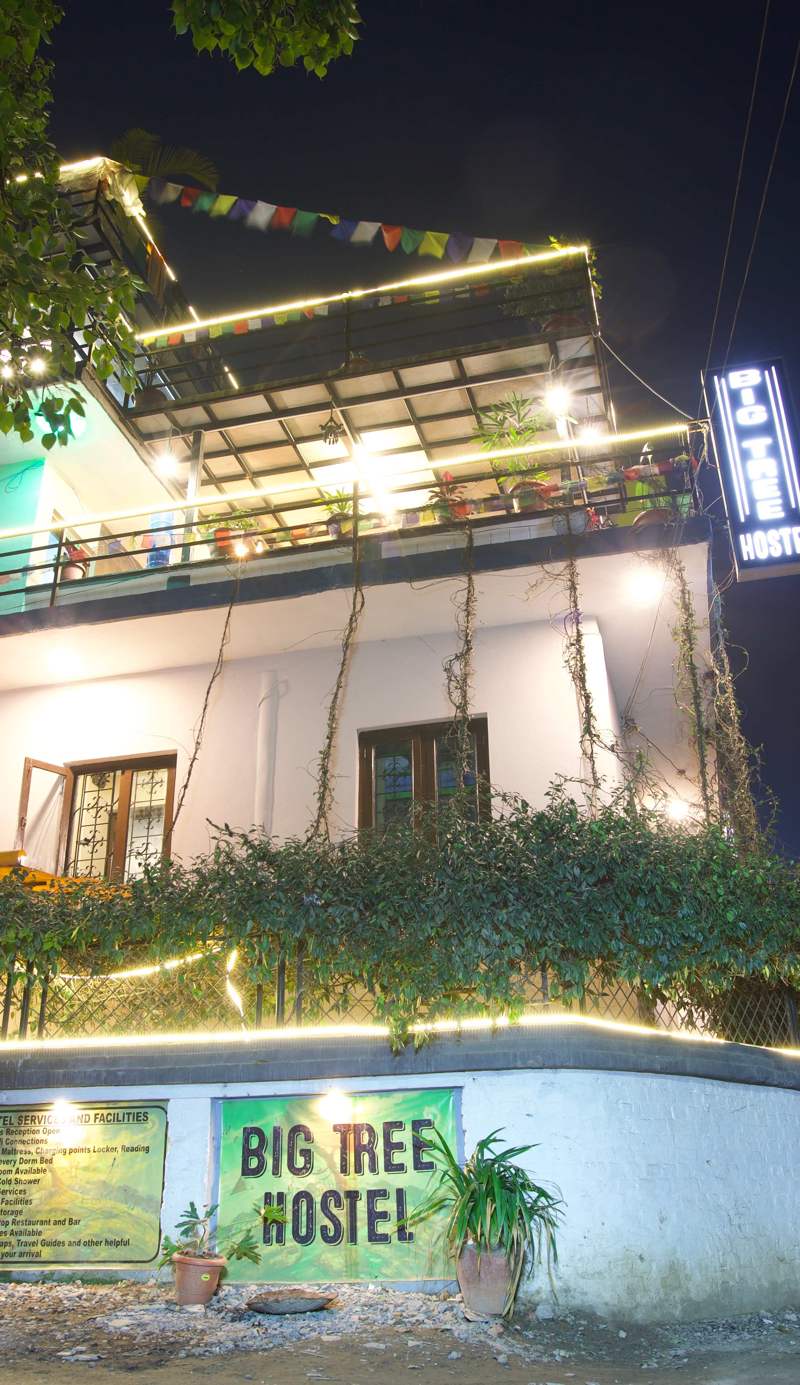 Big Tree Hostel