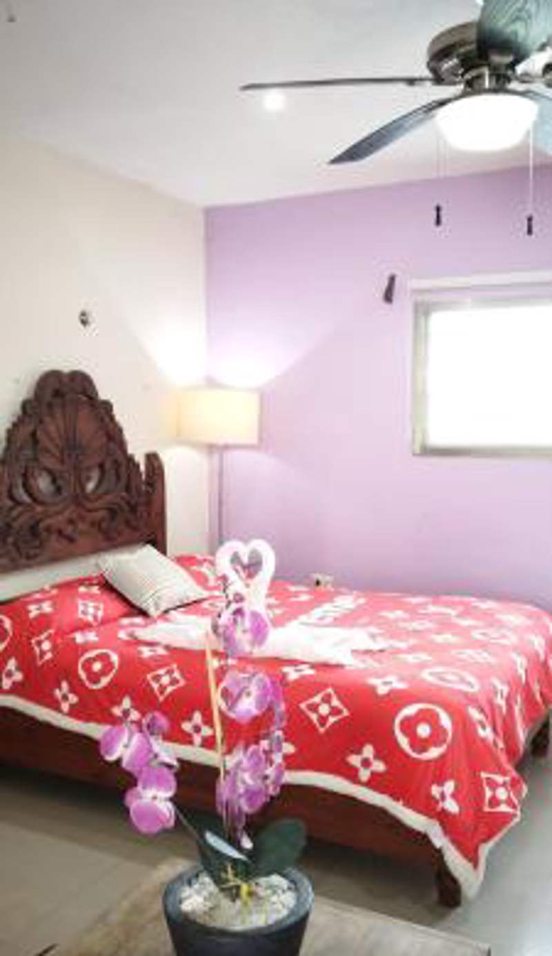 Gacelita Cozumel