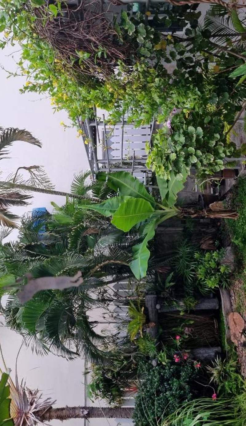 Huahin Place Guest House