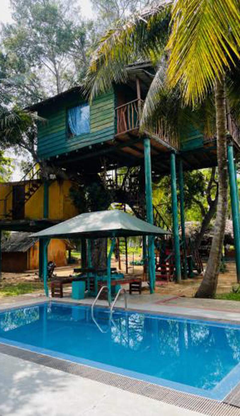 Eco Tree House Yala