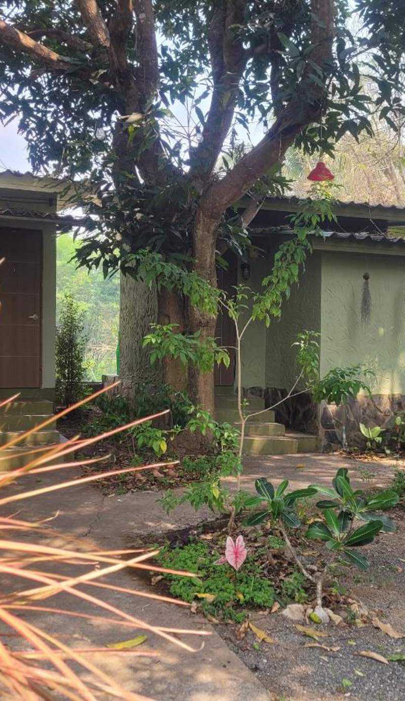 Oasis Pai Resort