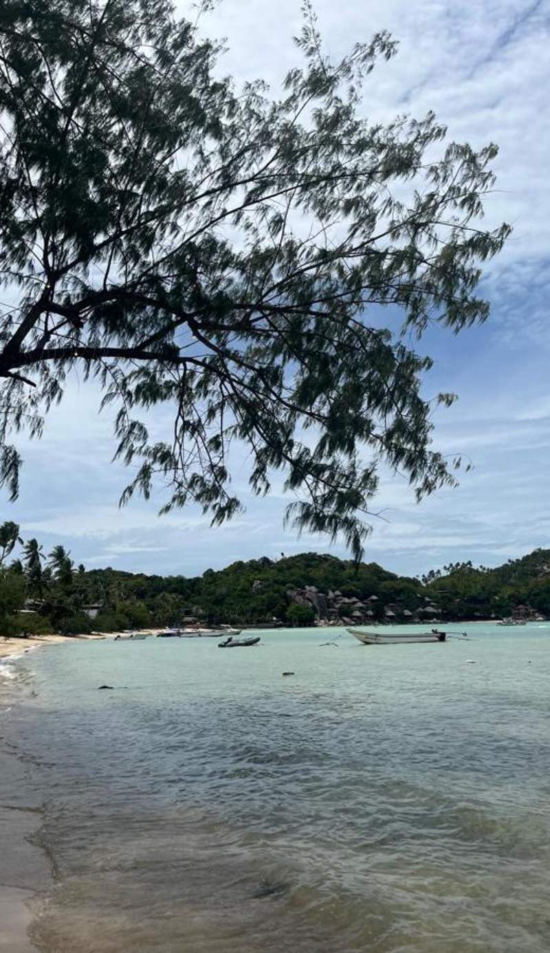 MAR24 Koh Tao Hotel
