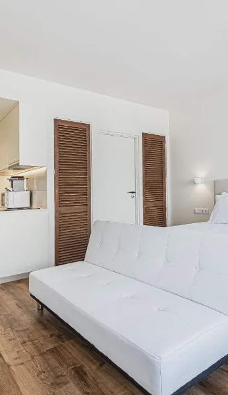 salgado`s nest