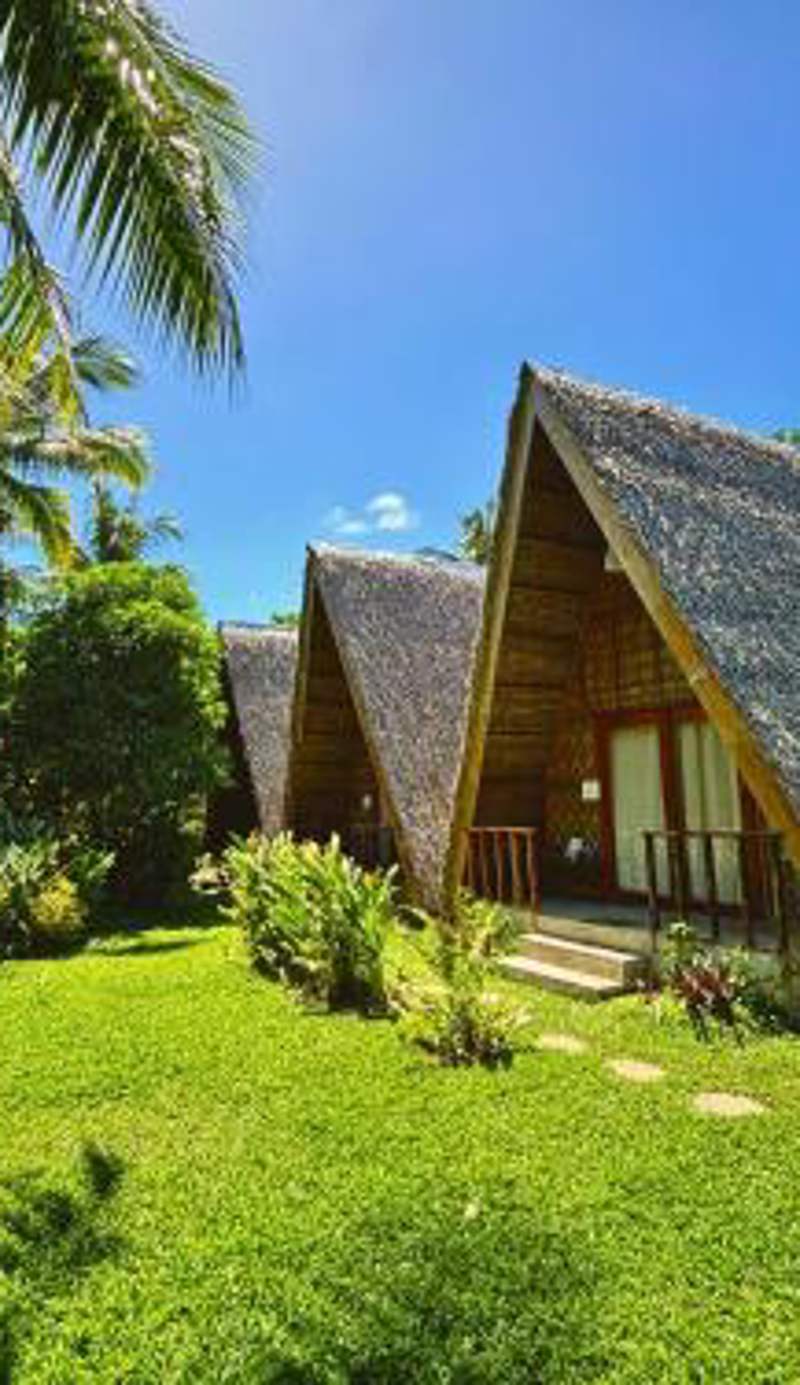Triangle Palms Siargao