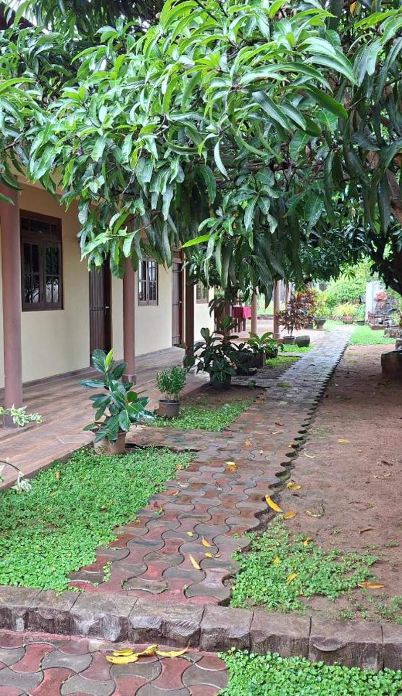Gold inn
